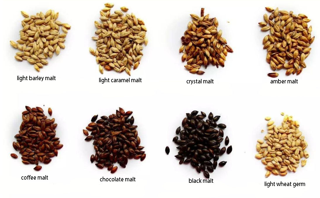 The relationship between malt quality and beer quality